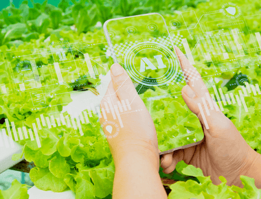 Using Co-one's Data Services for AI Development in Agriculture