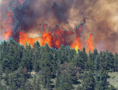 How Can AI Stop Wildfires?